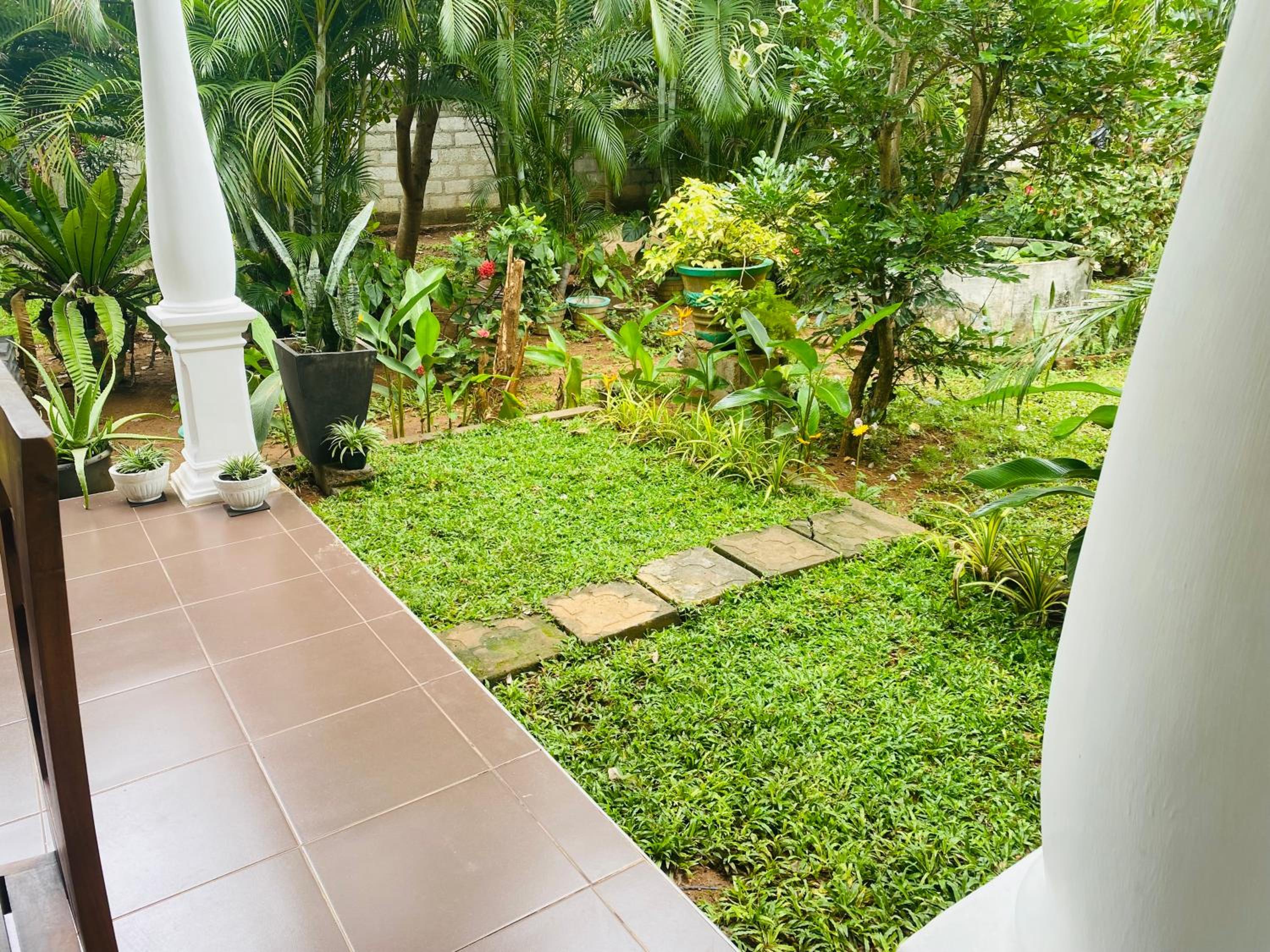 Fairview Dill homestay