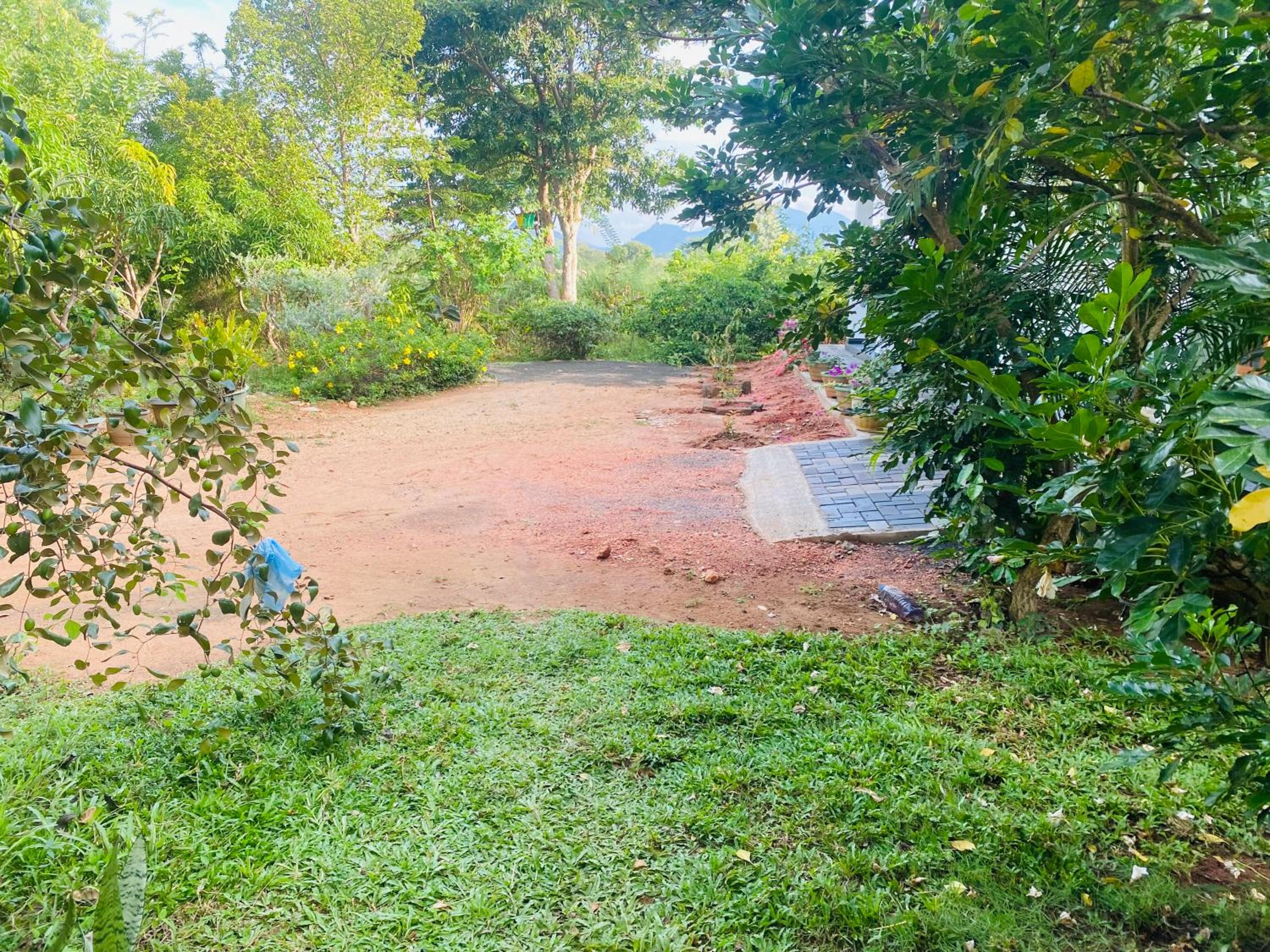 Fairview Dill homestay