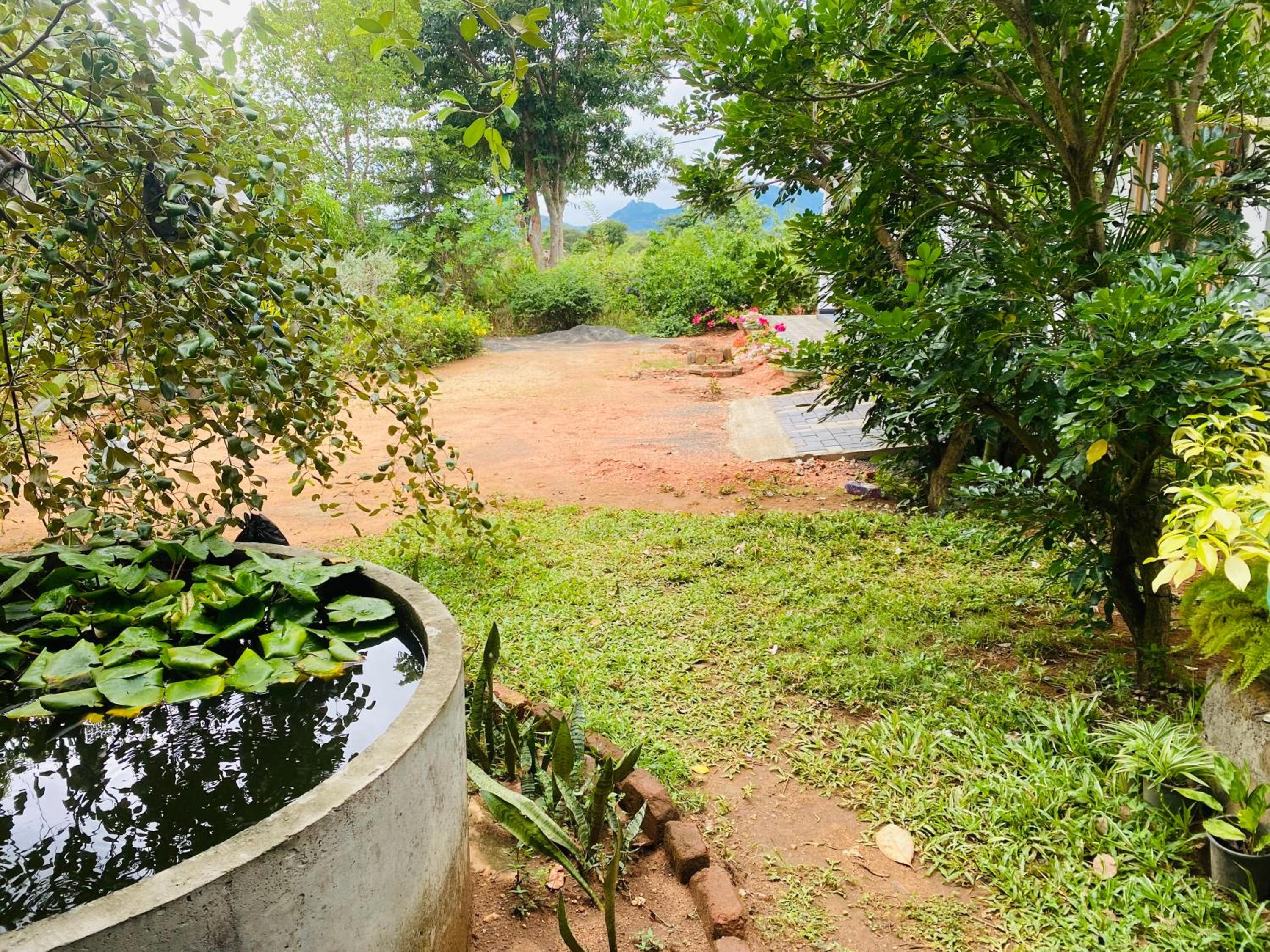 Fairview Dill homestay