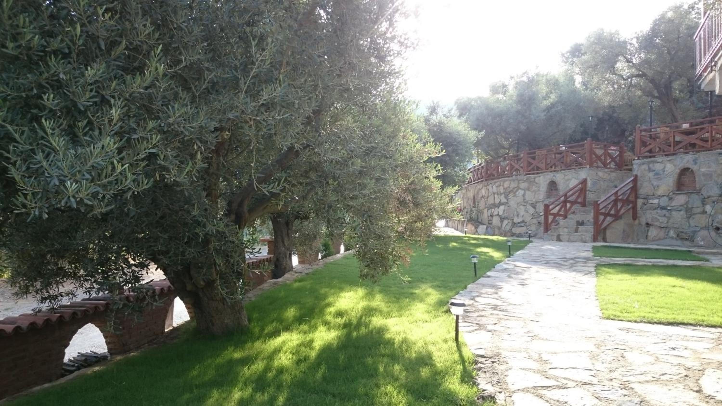 Photo 46