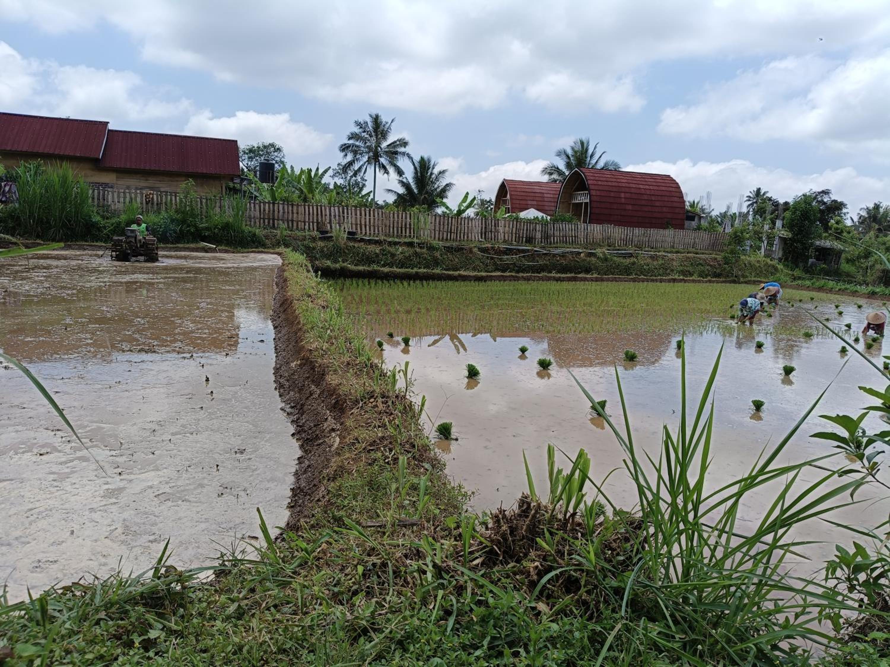 Raturinjani homestay