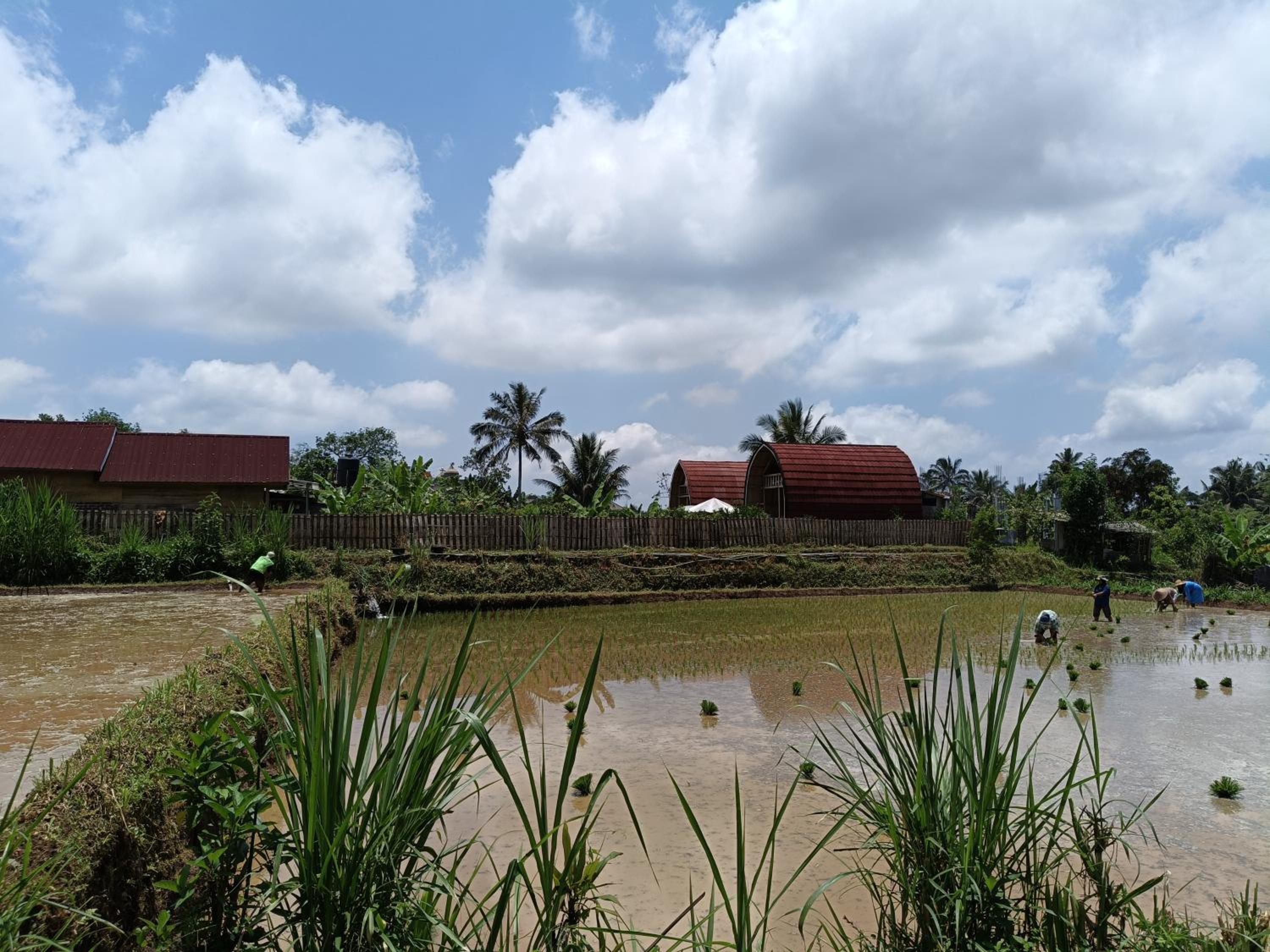 Raturinjani homestay