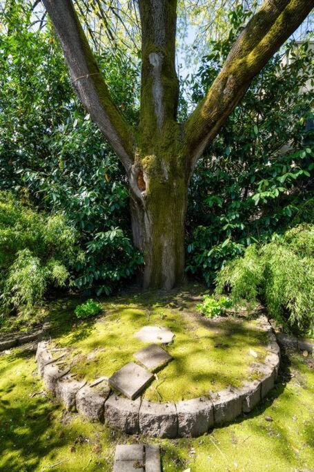 Miscellaneous Market Vacations - Stay Portland Collection - Enchanting Old Portland Home - 92 WalkScore - Property Image 4