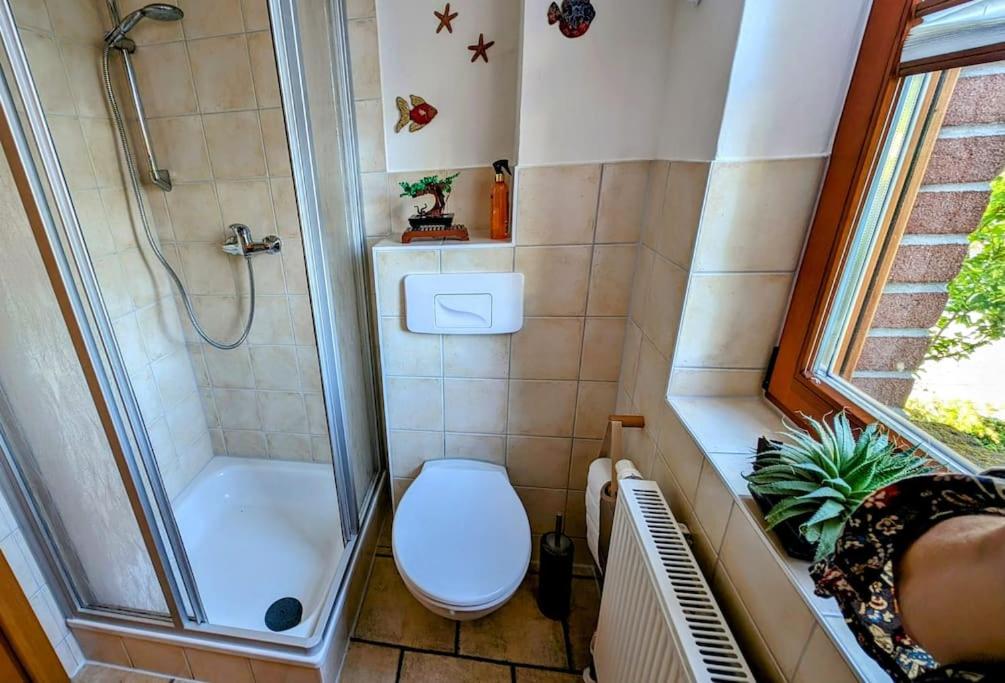 Haus in Neubrandenburg zentrum-, strandnah - Property Image 21