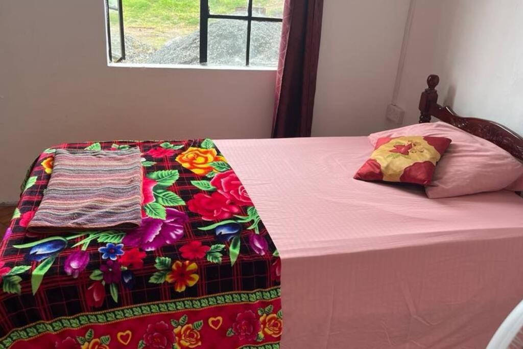 cozy home in baie malgache