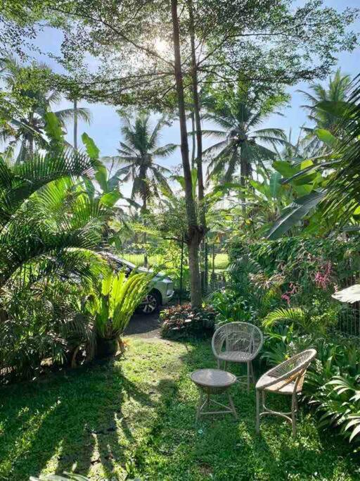 Ubud Auroville bright wooden home with kitchen
