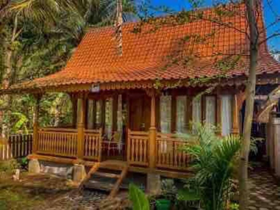 Ubud Auroville bright wooden home with kitchen
