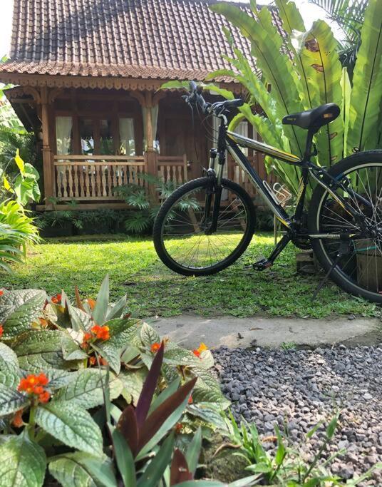 Ubud Auroville bright wooden home with kitchen