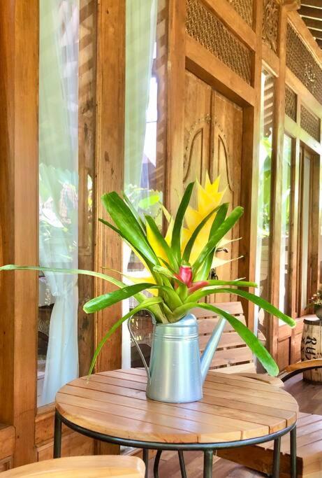 Ubud Auroville bright wooden home with kitchen