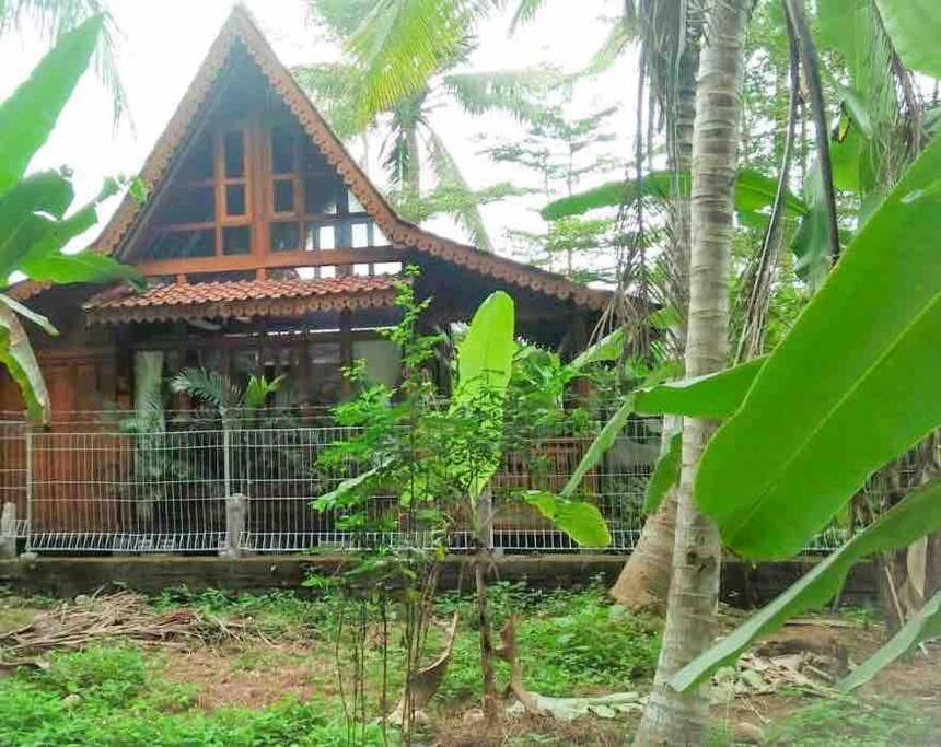 Ubud Auroville bright wooden home with kitchen