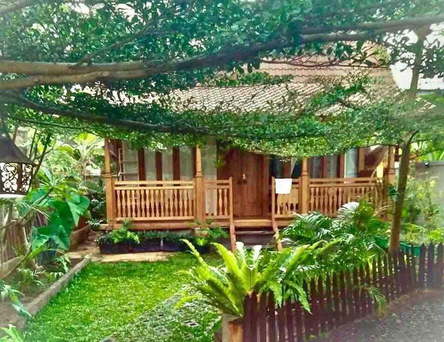 Ubud Auroville bright wooden home with kitchen