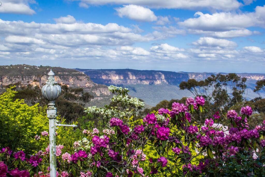 Dalia's Blue Mountain Retreat