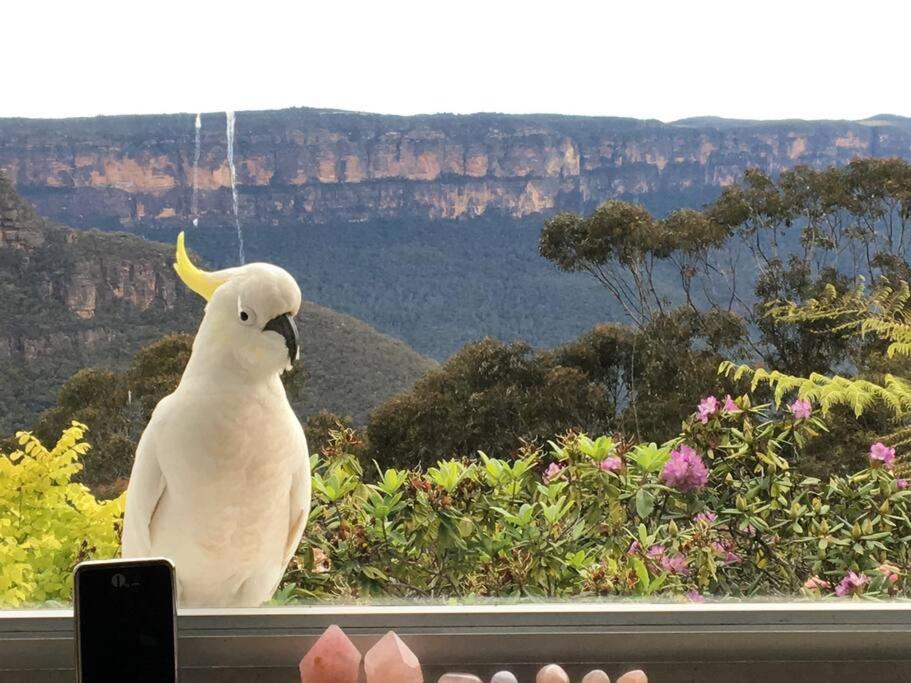 Dalia's Blue Mountain Retreat