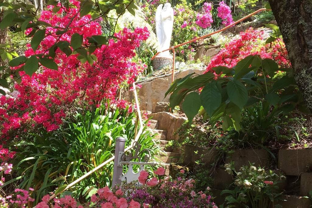Dalia's Blue Mountain Retreat