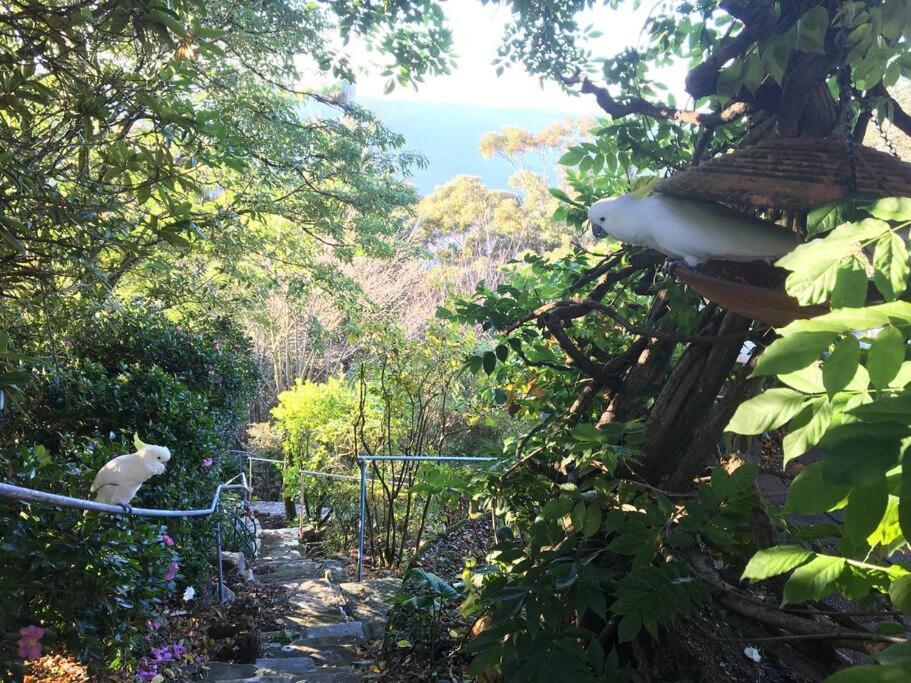 Dalia's Blue Mountain Retreat