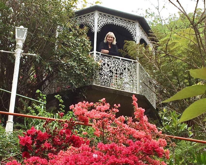 Dalia's Blue Mountain Retreat