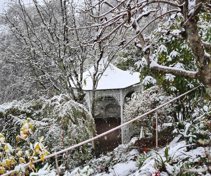 Dalia's Blue Mountain Retreat