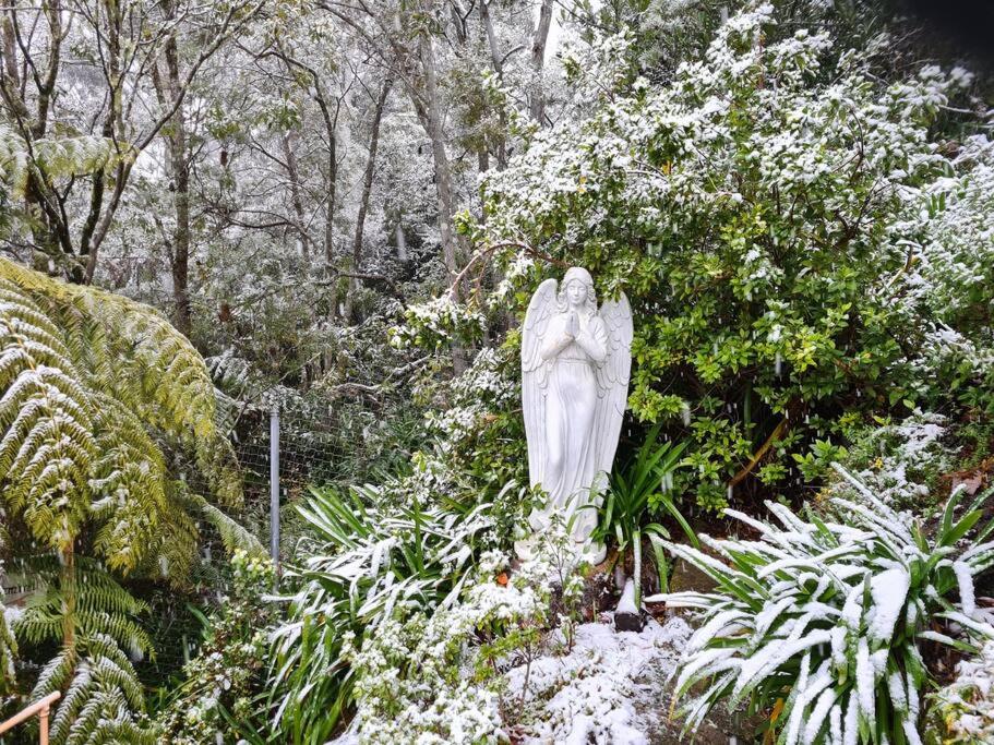 Dalia's Blue Mountain Retreat