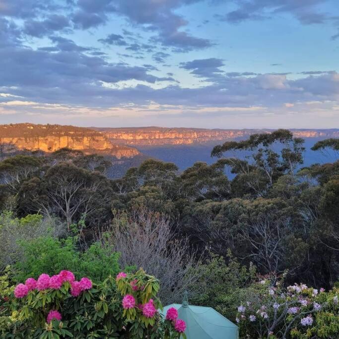 Dalia's Blue Mountain Retreat
