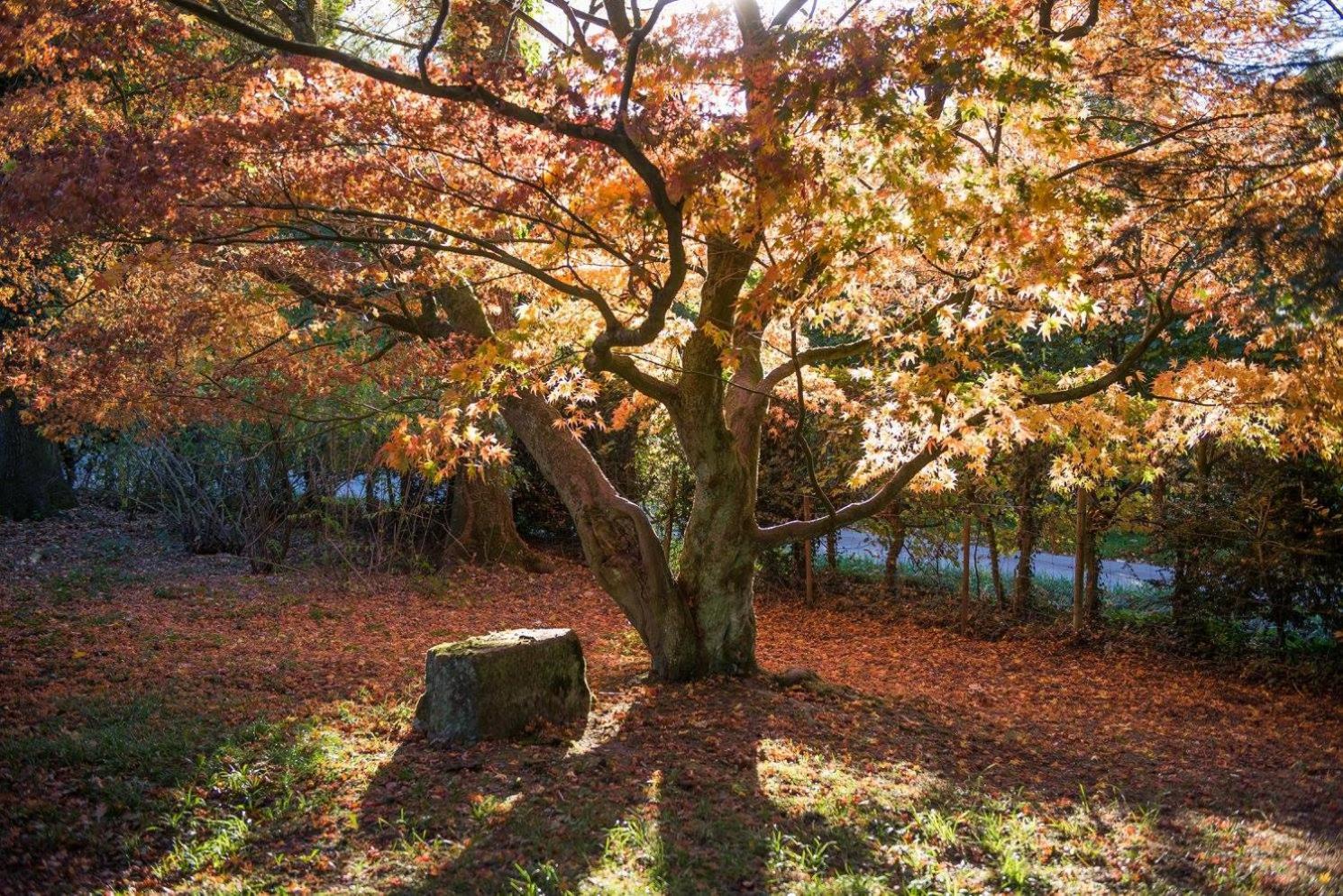 Altes Forstamt im Teutoburger Wald-Fewo Hofgarten