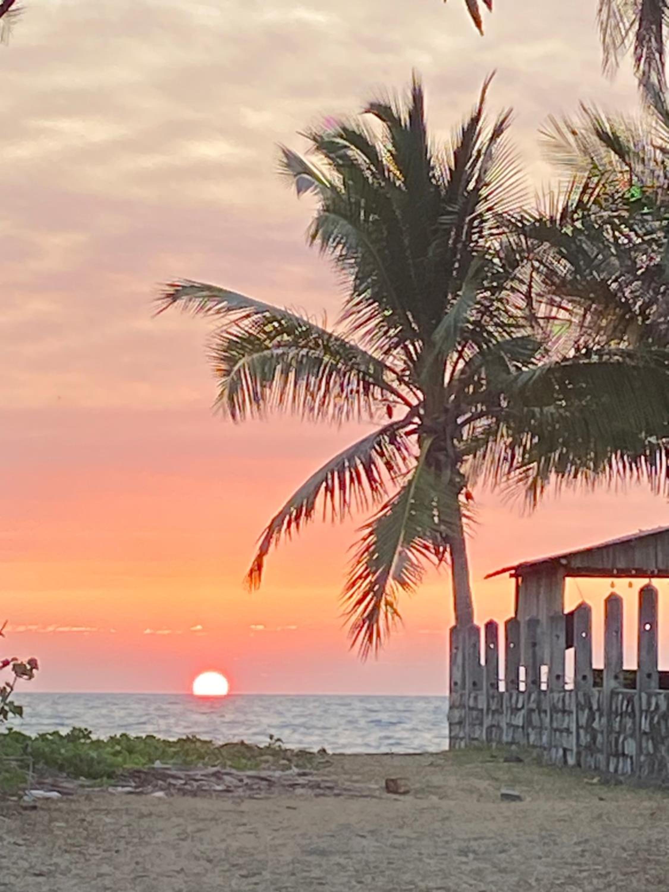 Camilla