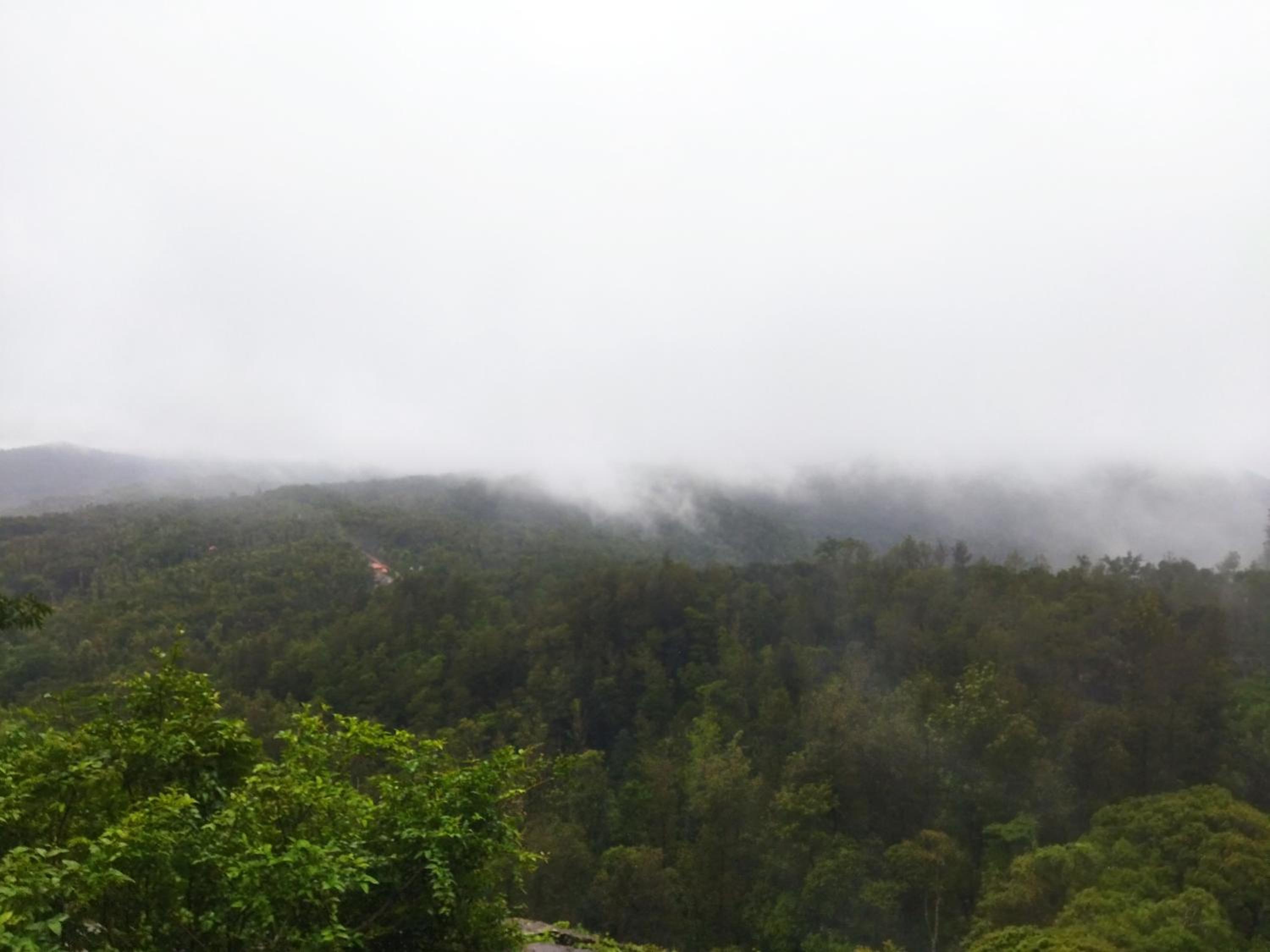 Cozy Camp Homestay view 5