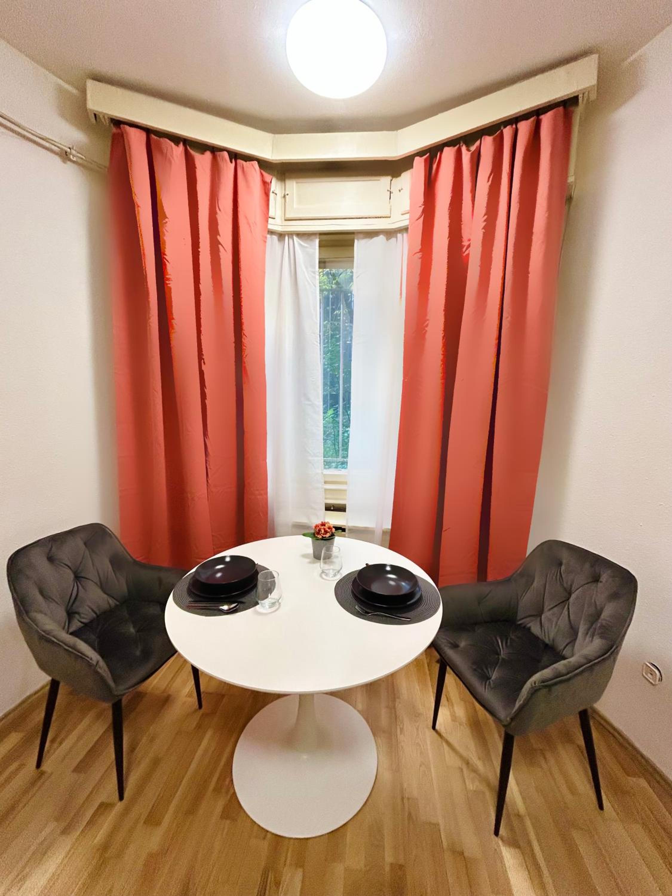 Gellert Hill Studio-Buda Castle view 5