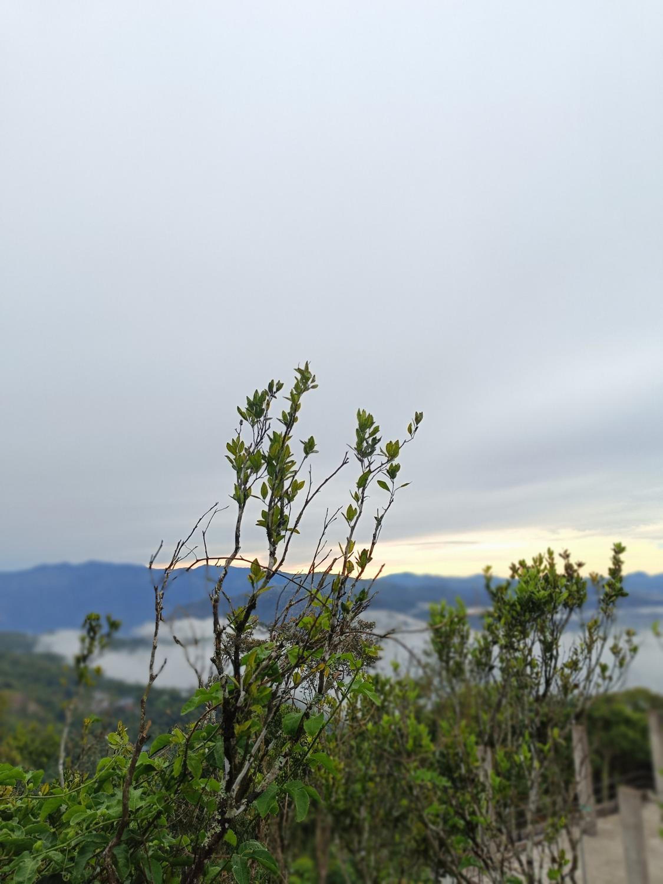 Namasthe