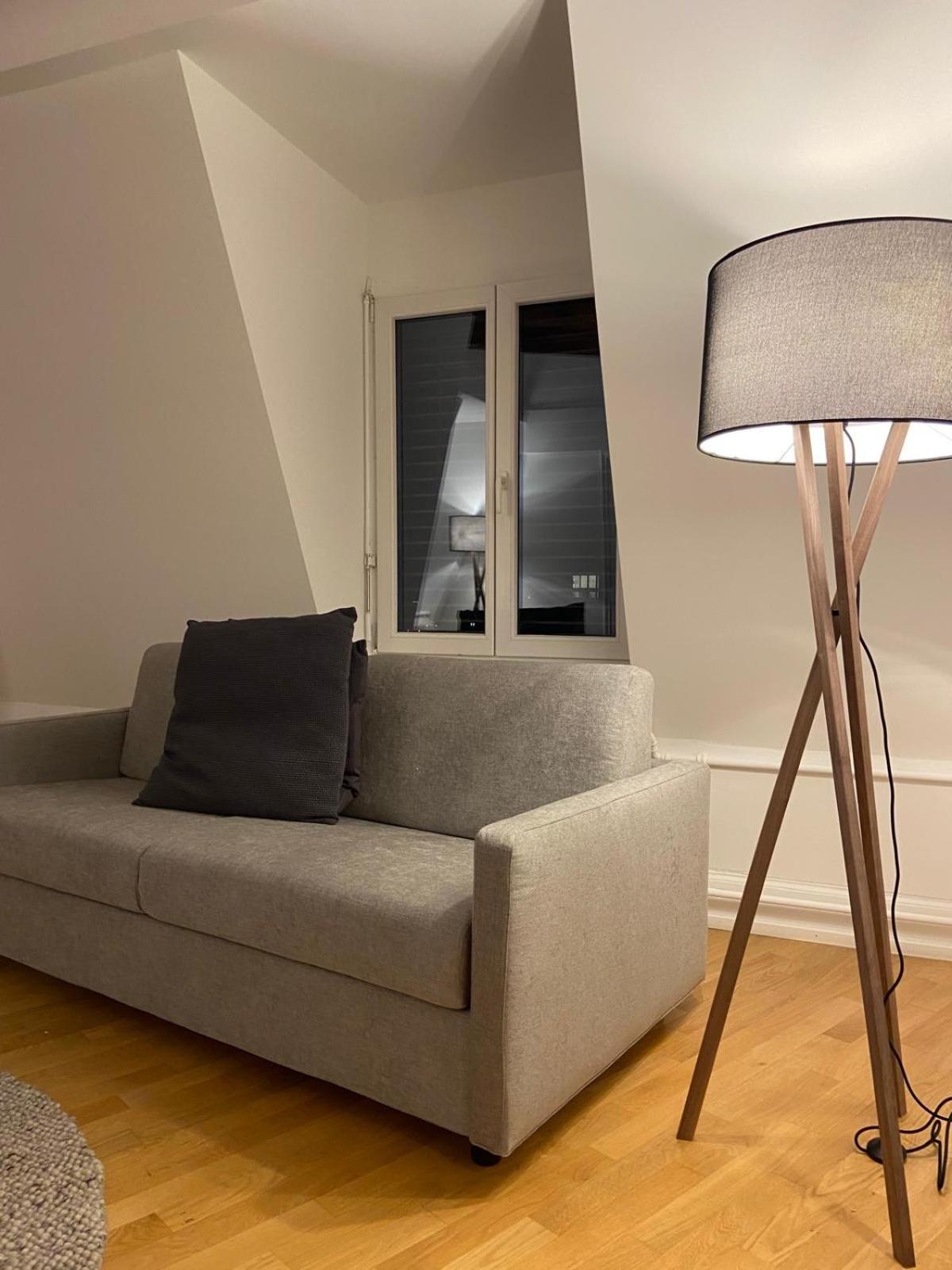 3 BR Duplex in Wiedikon