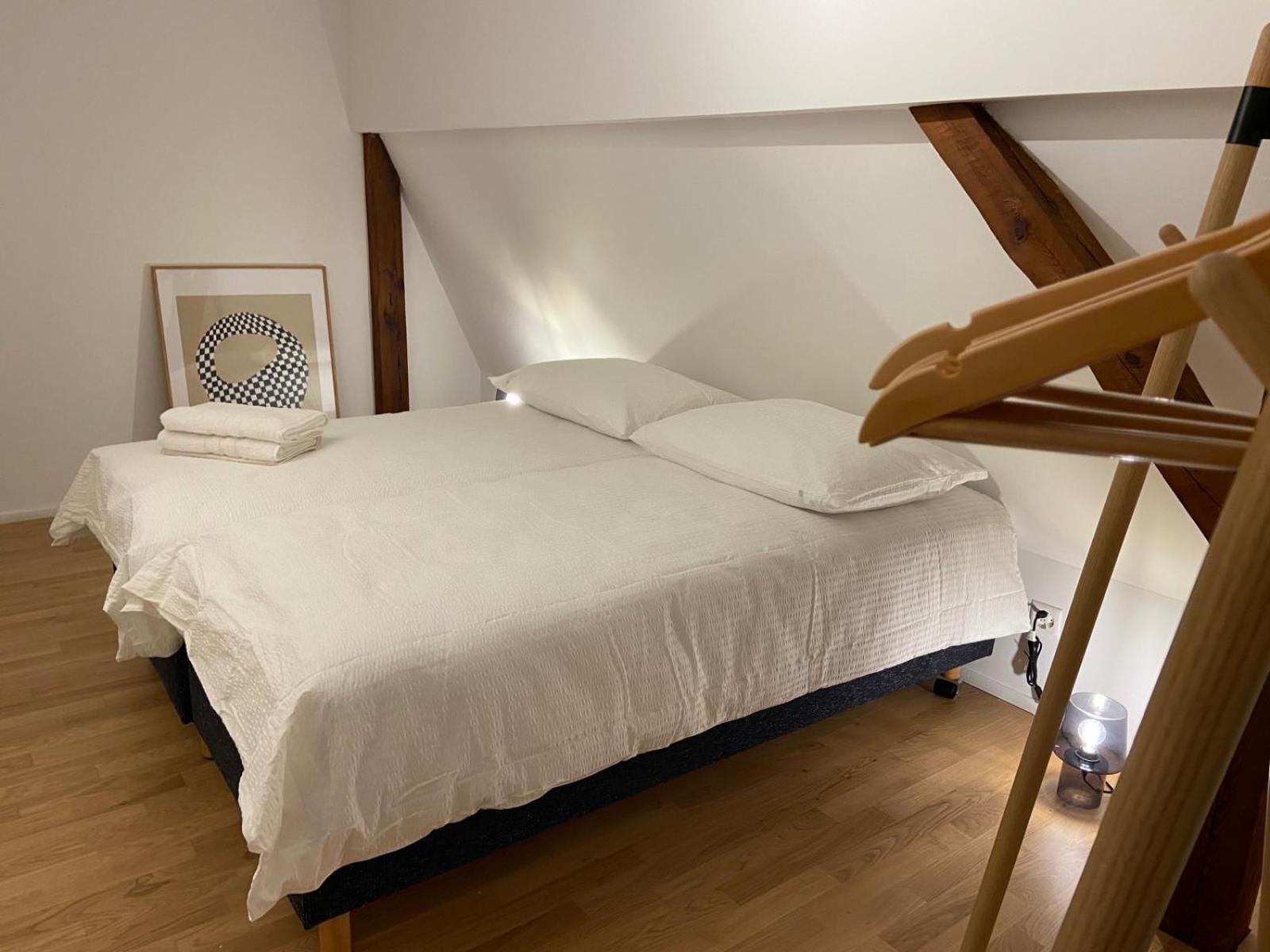 3 BR Duplex in Wiedikon