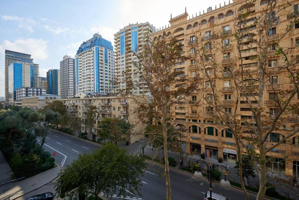New Apartment in Downtown
