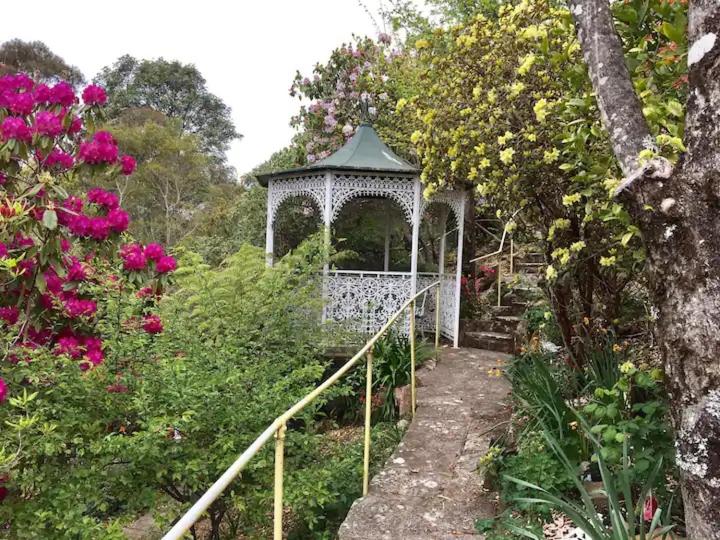 Dalia's Blue Mountain Retreat