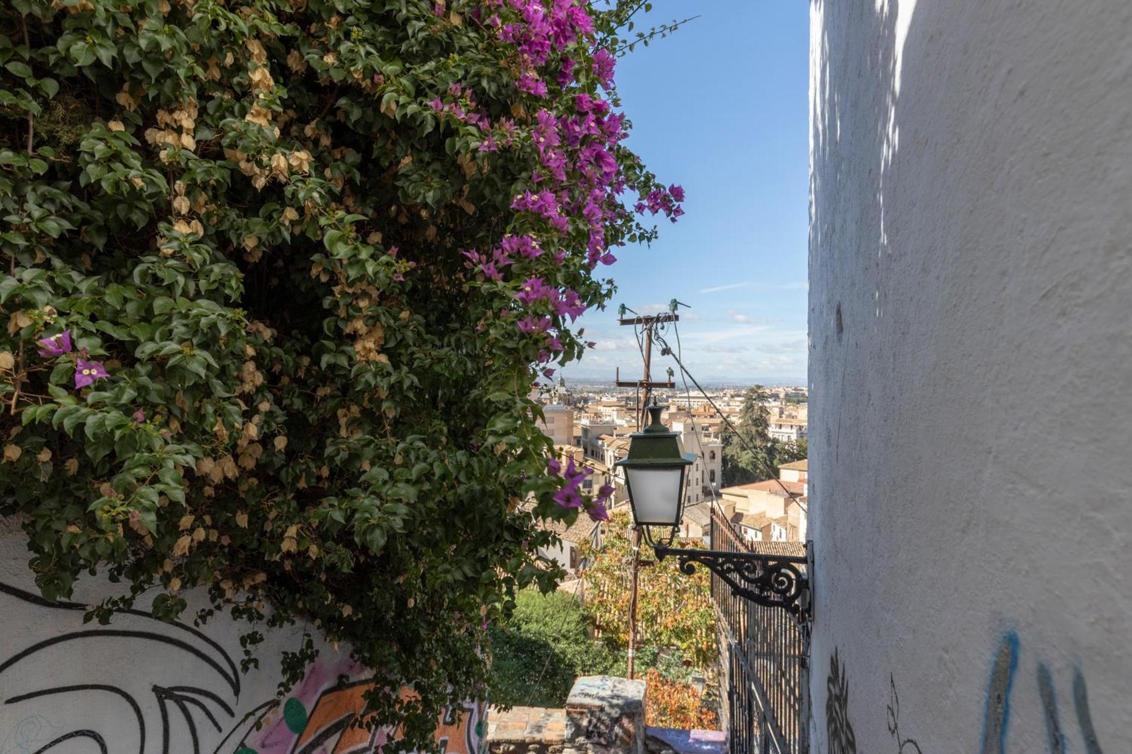 Siesta Apartment Zenete