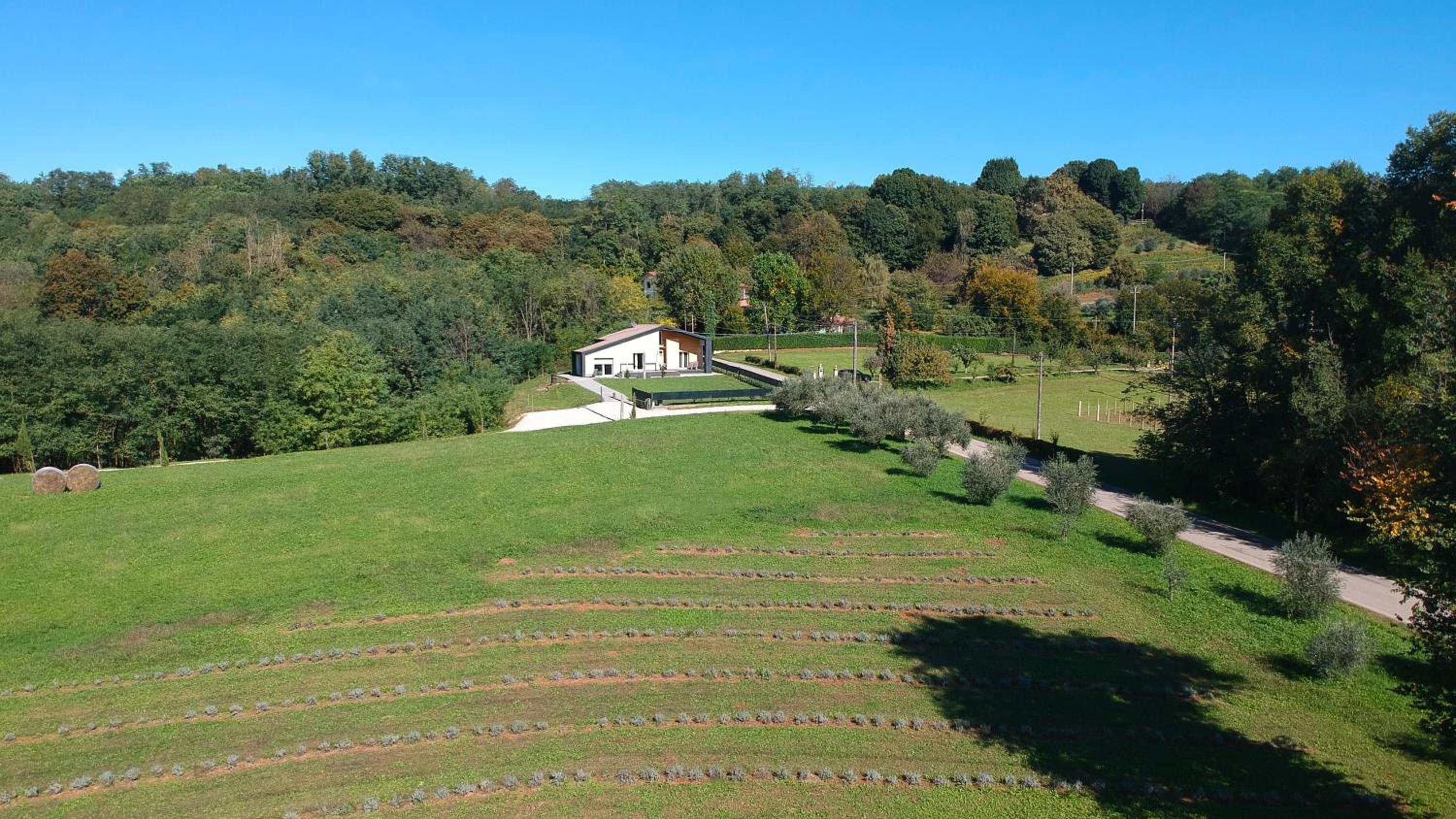 Dolce Bosco view 2