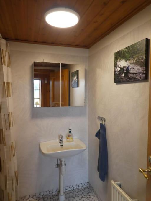 Photo 41