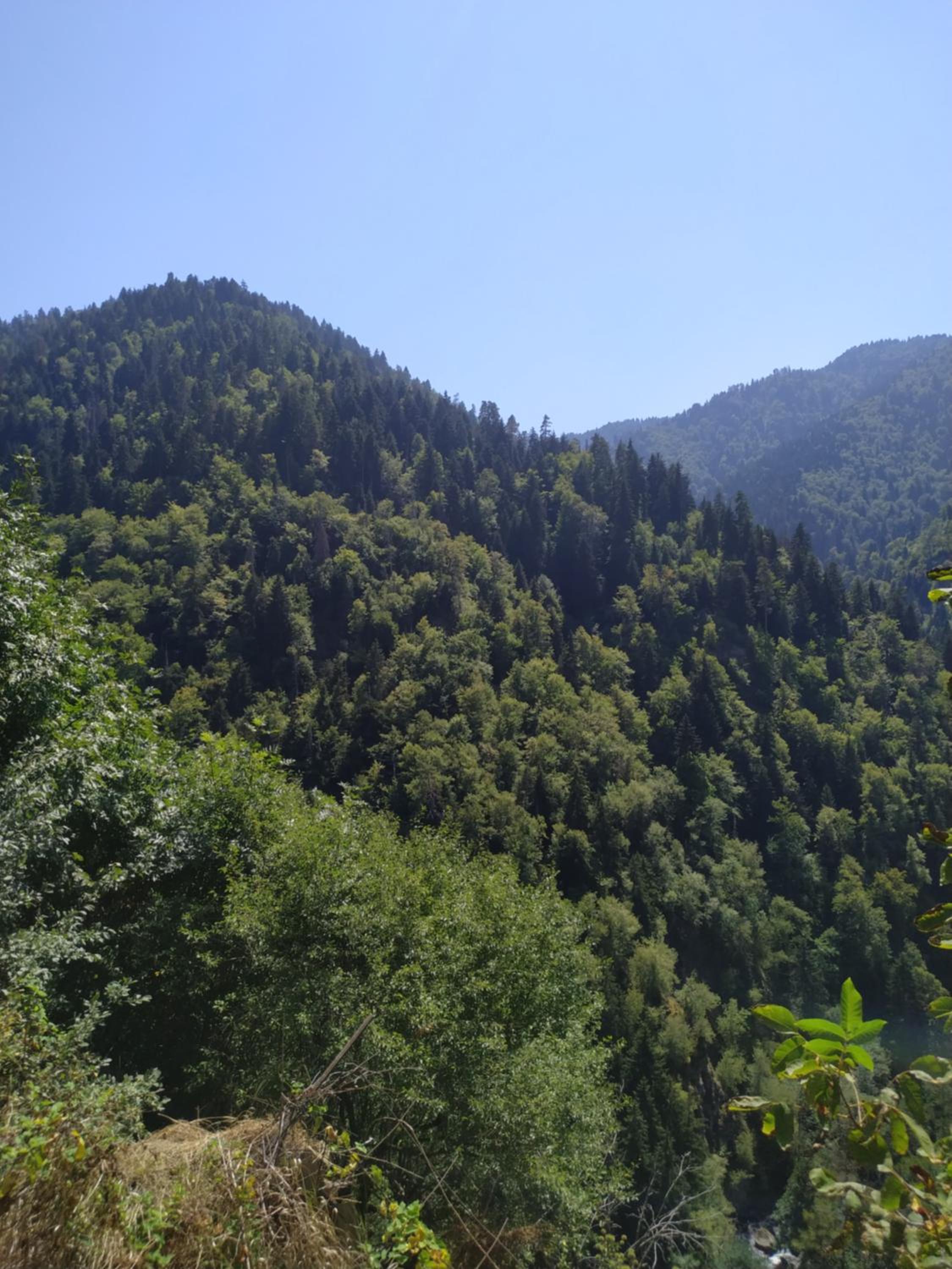 Guest House Lazare view 2