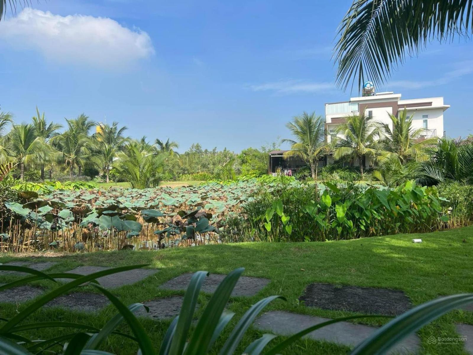Căn Hộ liền kề Riverside view 5