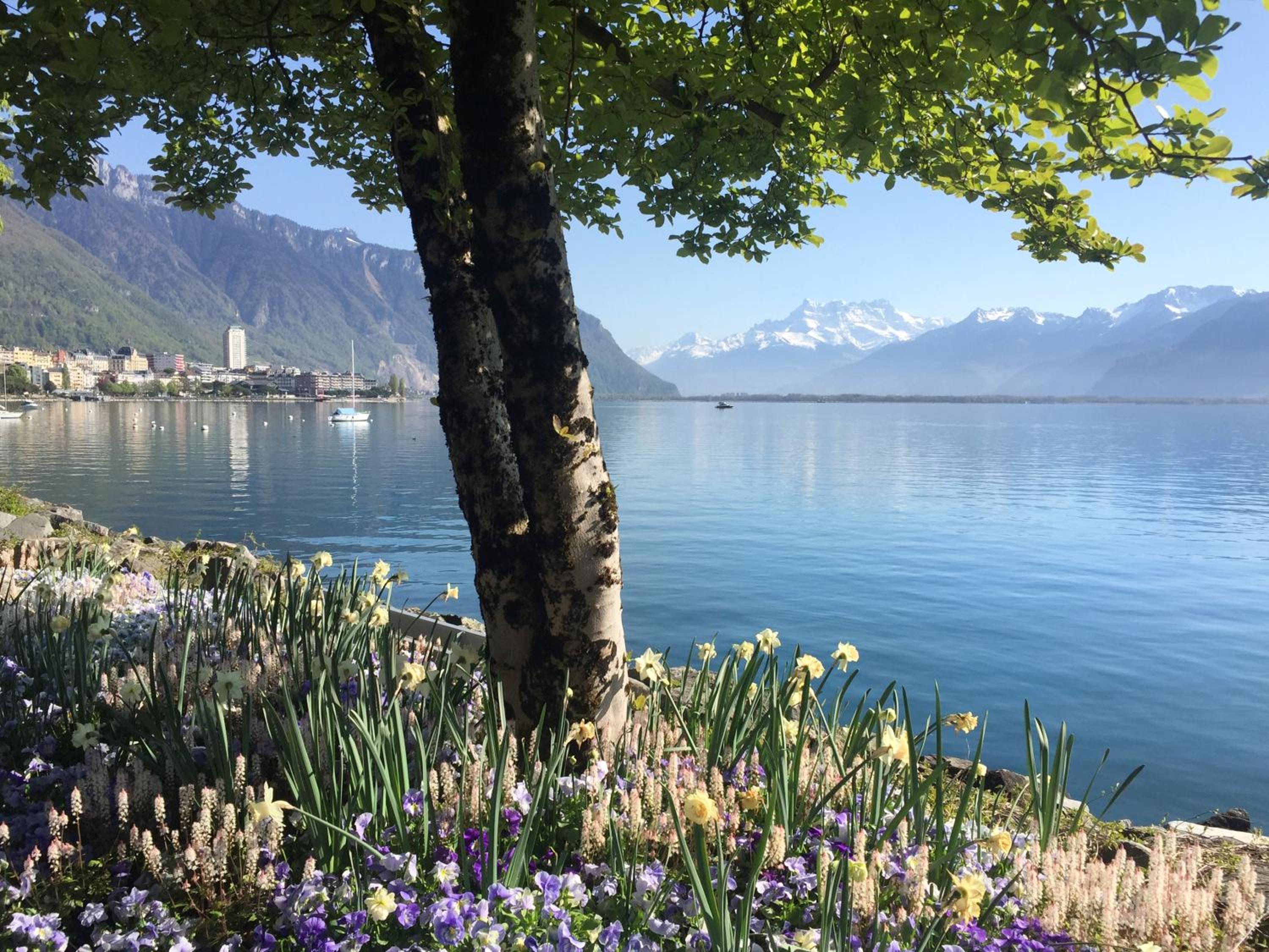 Montreux Vacations - Royal Plaza Montreux - Property Image 11