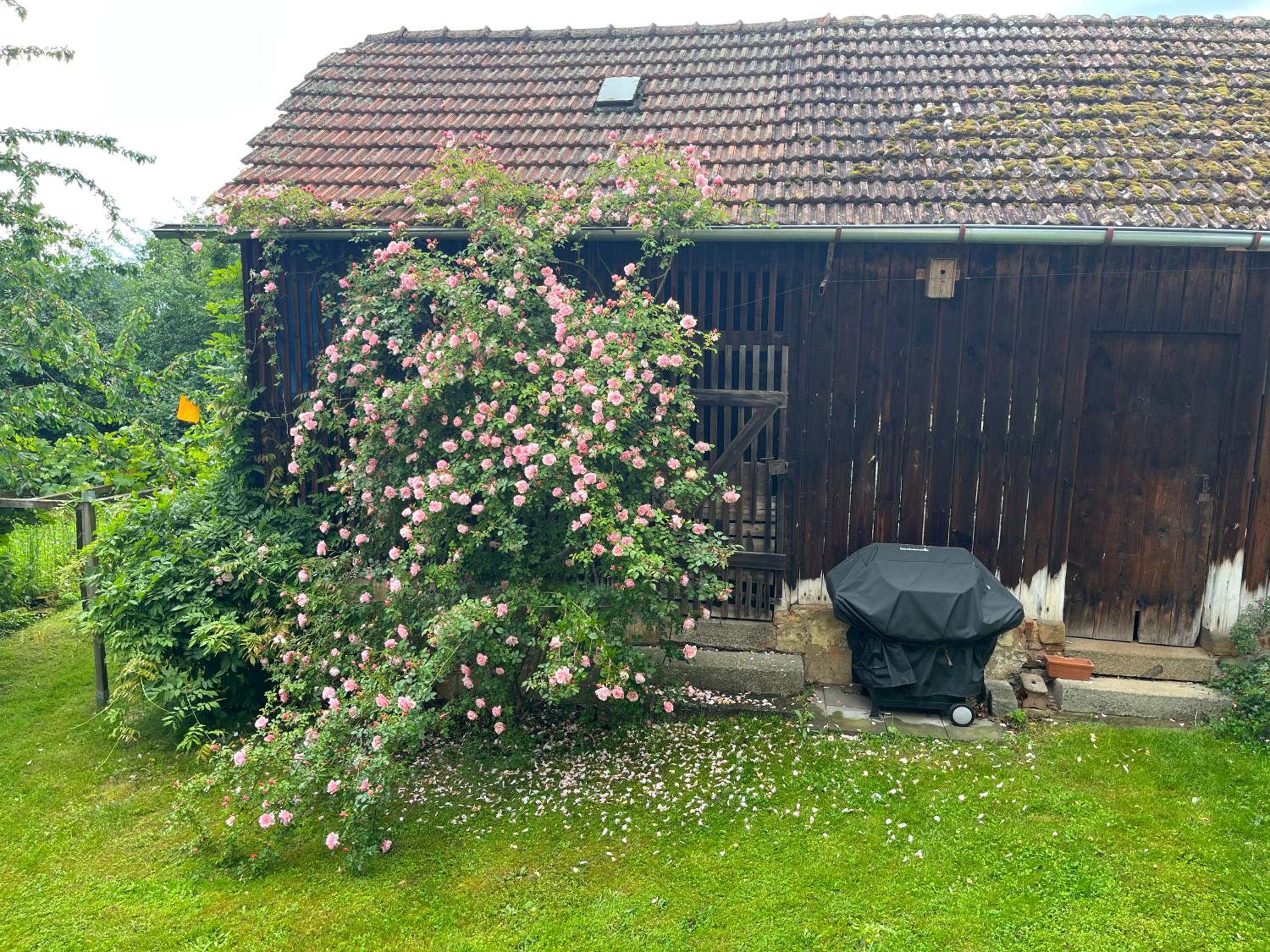 Ferienhaus Rötzer - Forsthausschmankerl mit Sauna, Whirlpool und Grill