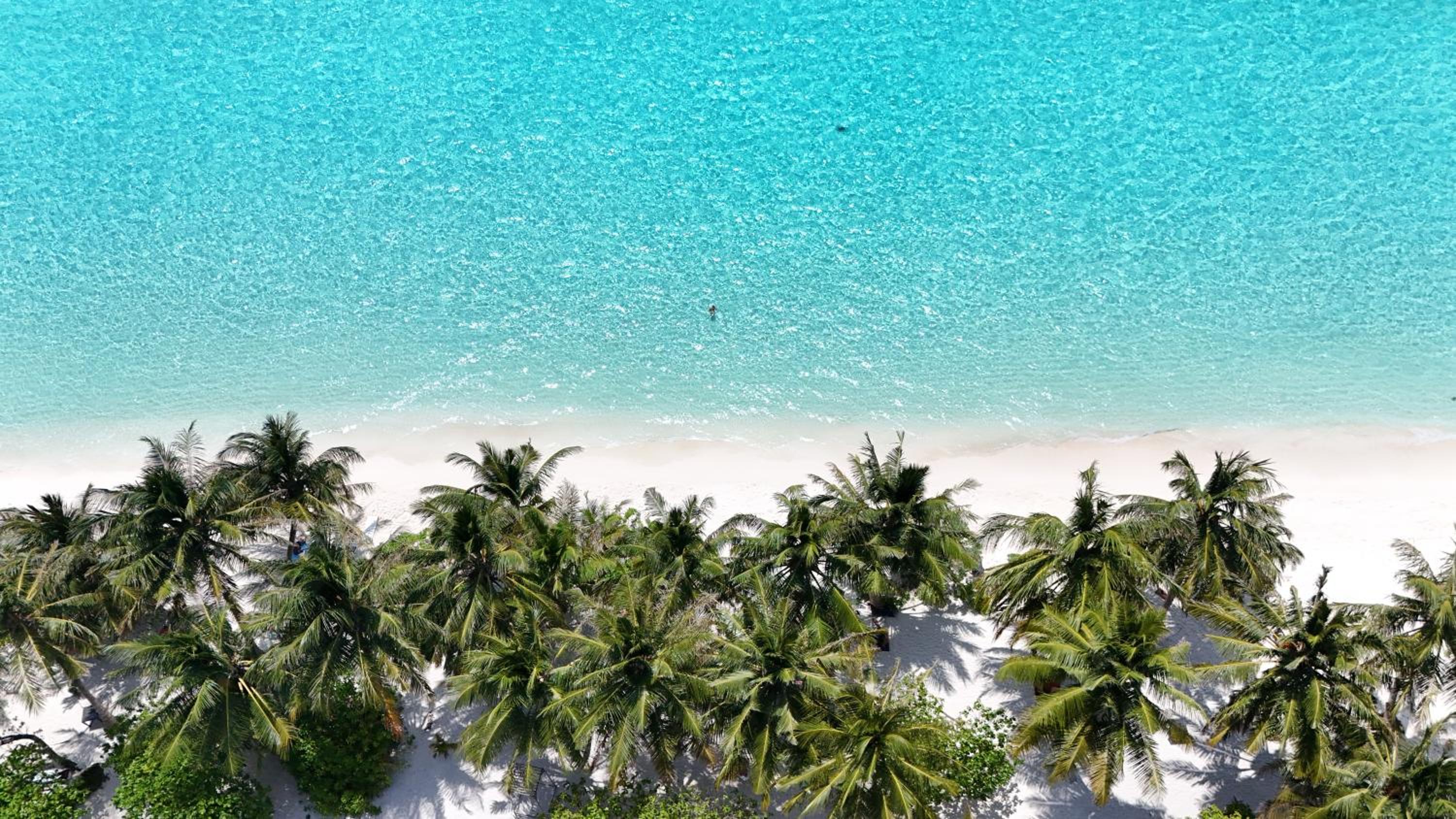 Aashaan View Thoddoo