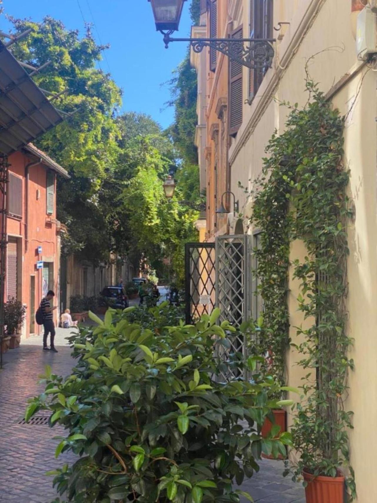 Margutta Domitia Home