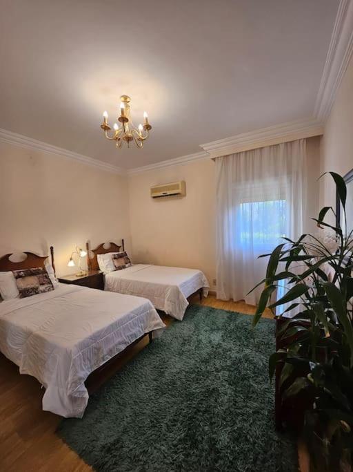 Dreamland Stylish 2BD with a garden and pool access