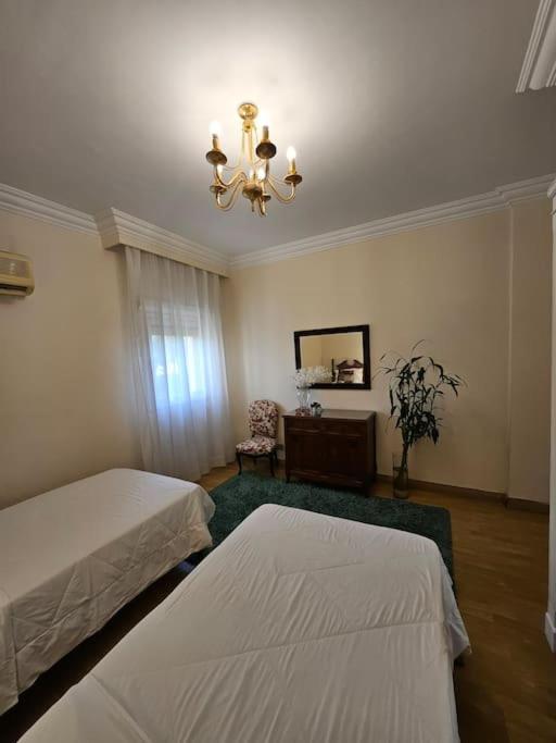 Dreamland Stylish 2BD with a garden and pool access