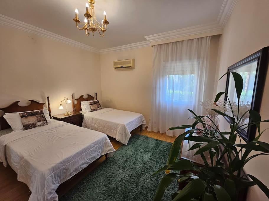 Dreamland Stylish 2BD with a garden and pool access