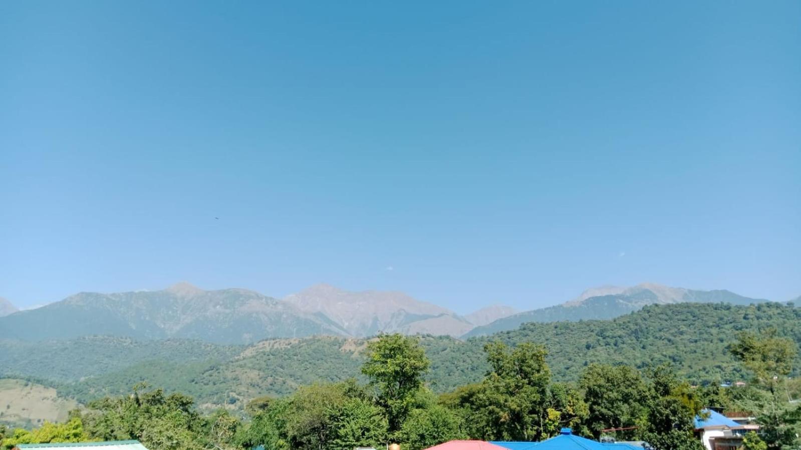 Sunshine paradise