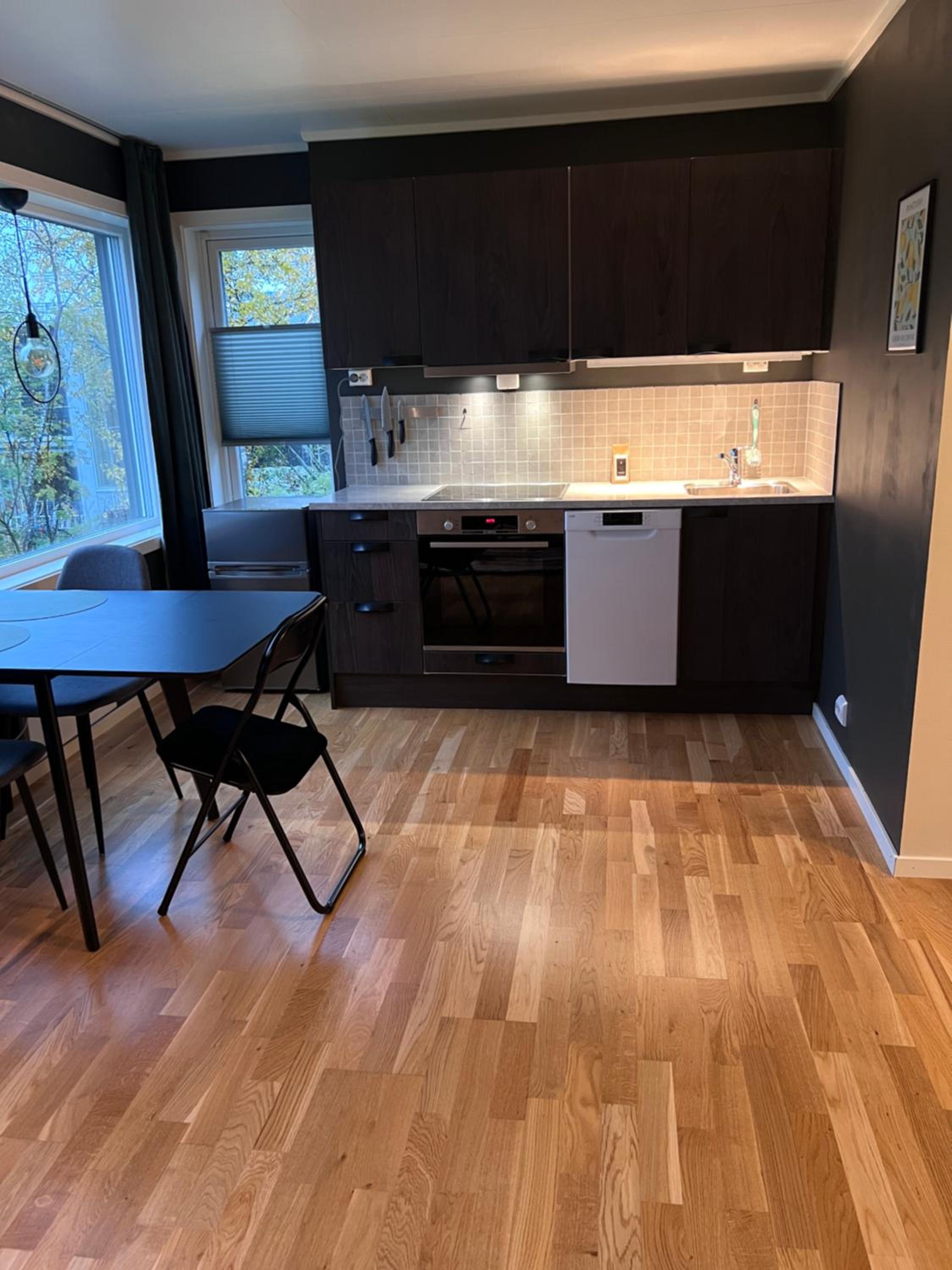 Modern Arctic Residence view 4