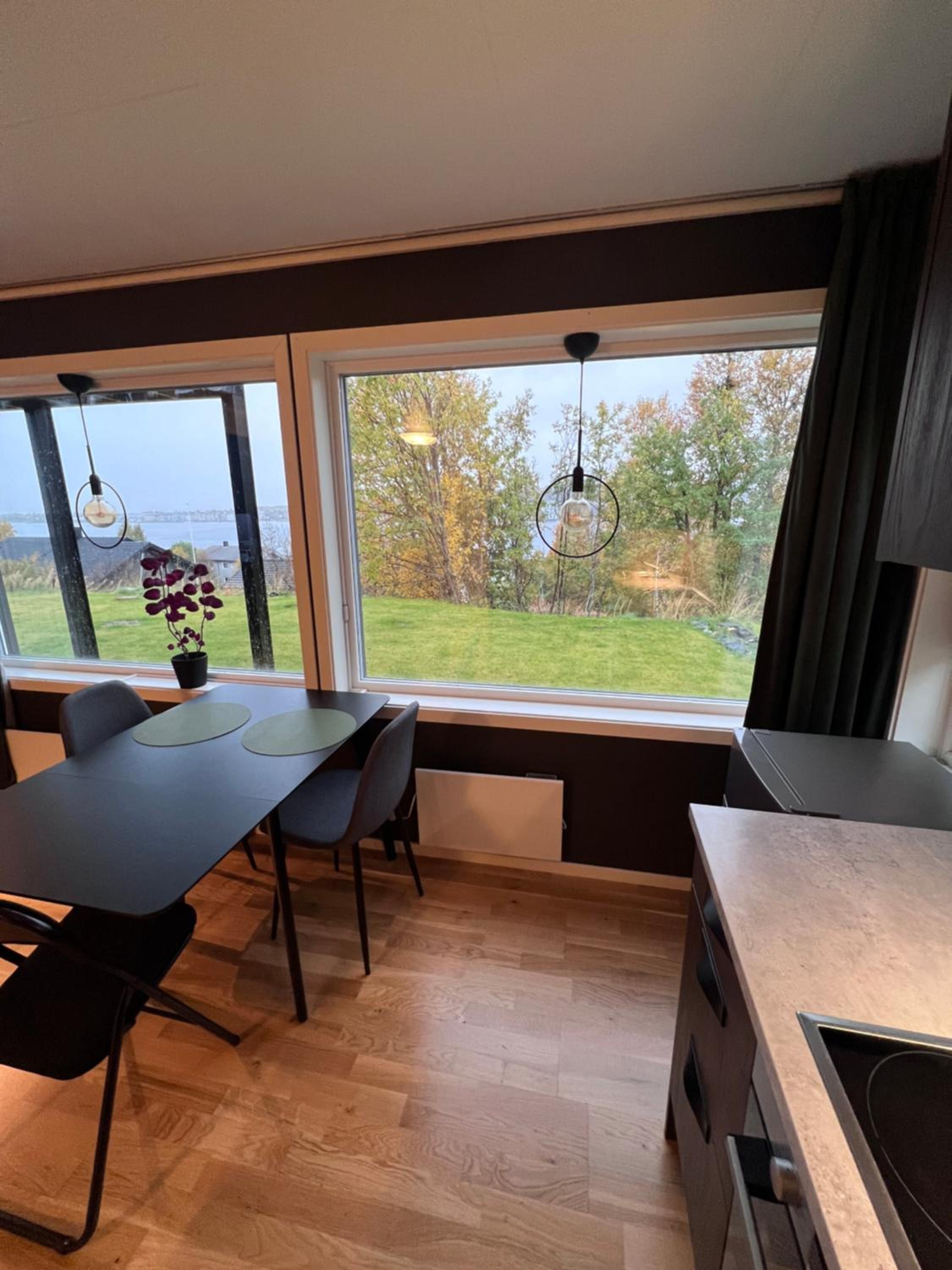 Modern Arctic Residence view 5