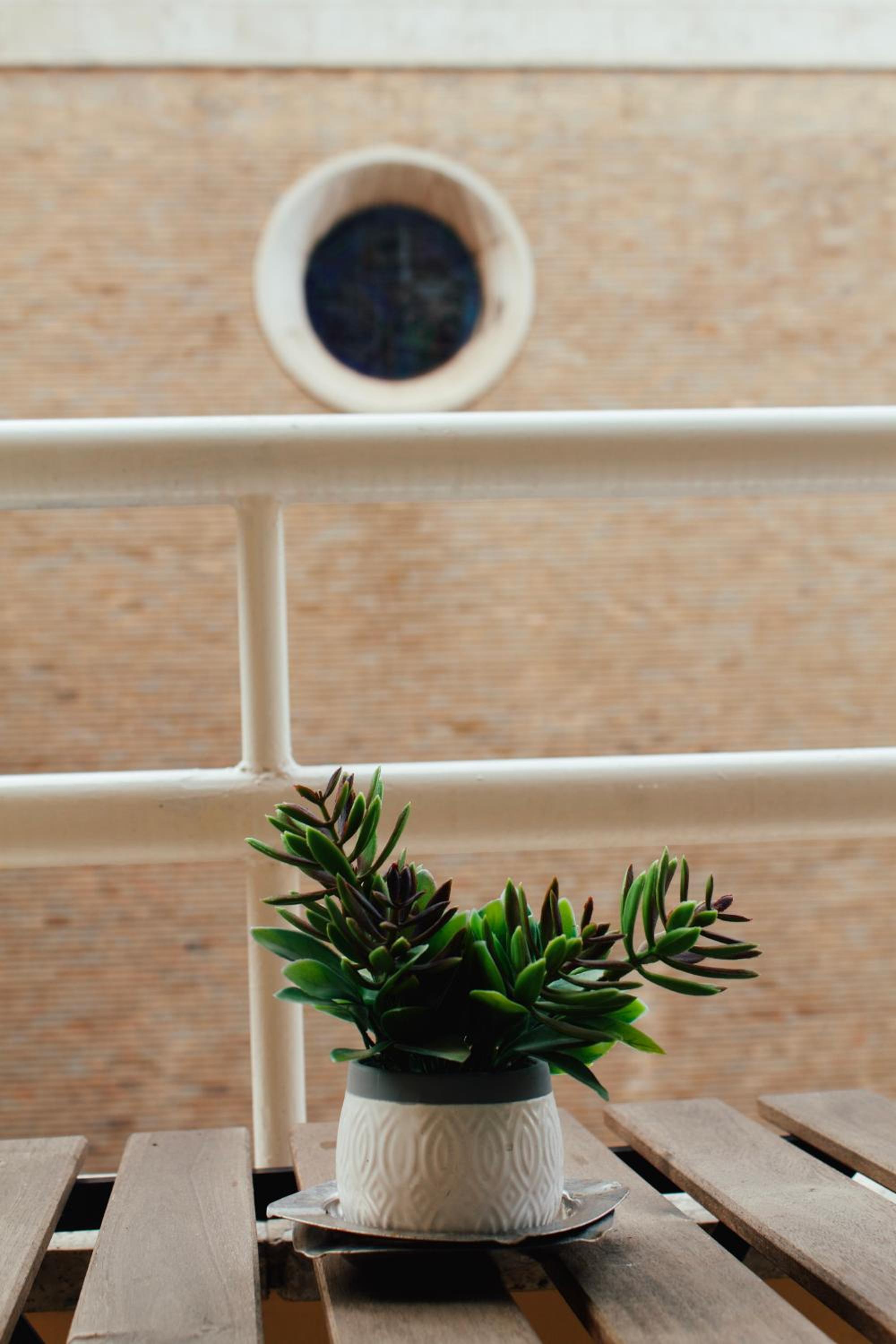 Napoli Vitale Apartments