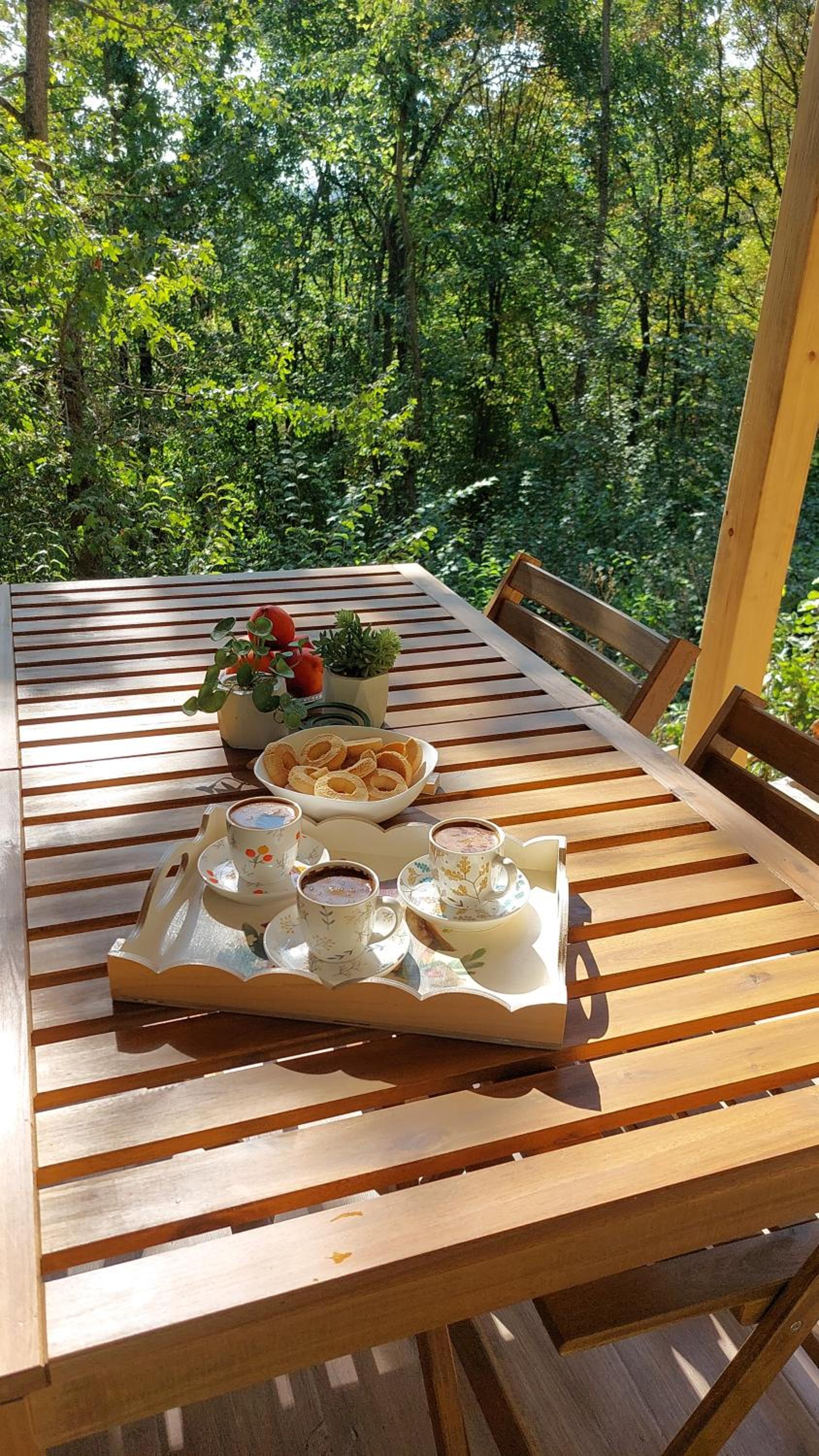Brvnara Vrganj