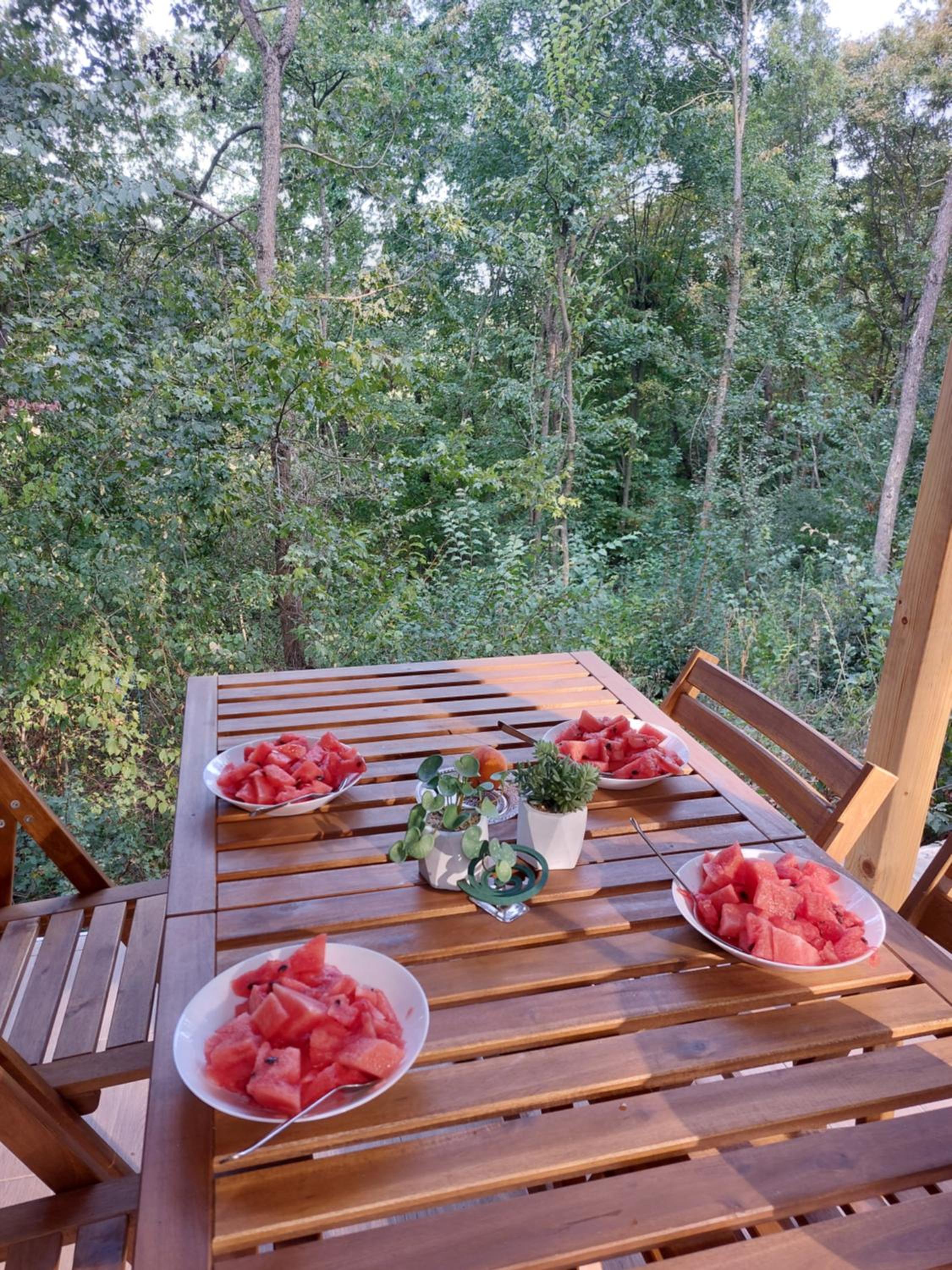 Brvnara Vrganj
